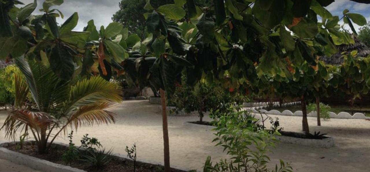 Mfumbwi Lodge จัมเบียนี ภายนอก รูปภาพ